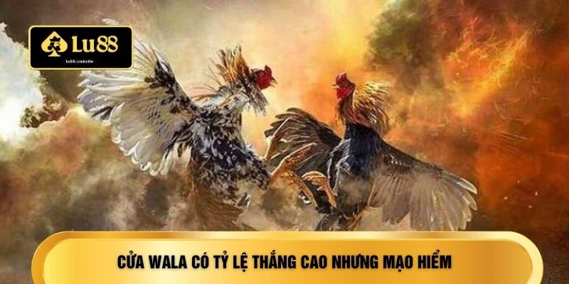 Cửa Wala có tỷ lệ thắng cao nhưng mạo hiểm