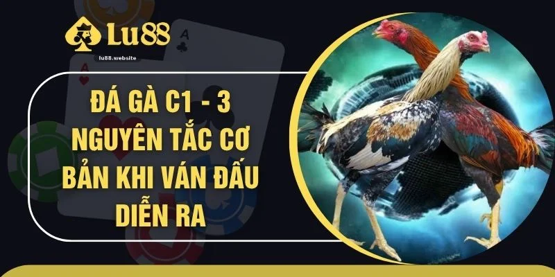 Đá Gà C1 - 3 Nguyên Tắc Cơ Bản Khi Ván Đấu Diễn Ra