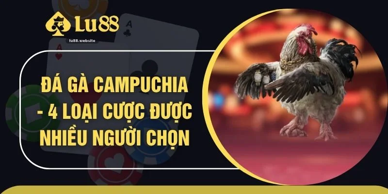 Đá Gà Campuchia - 4 Loại Cược Được Nhiều Người Chọn