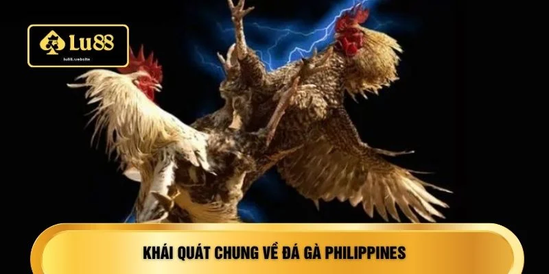 Khái quát chung về đá gà Philippines