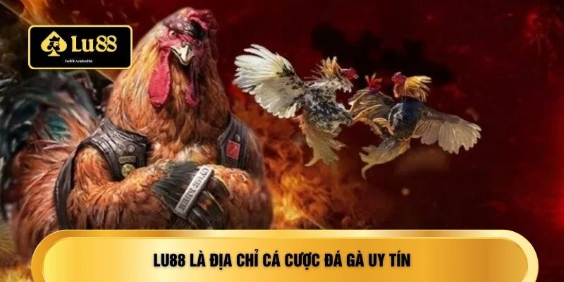 LU88 là địa chỉ cá cược đá gà uy tín