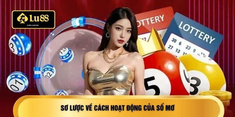 Sơ lược về cách hoạt động của sổ mơ