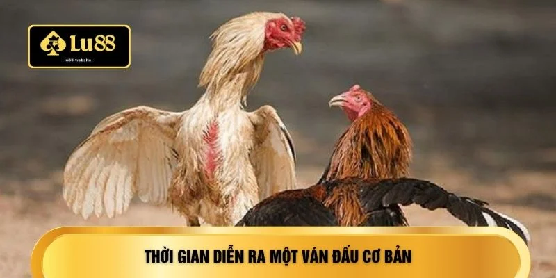 Thời gian diễn ra một ván đấu cơ bản